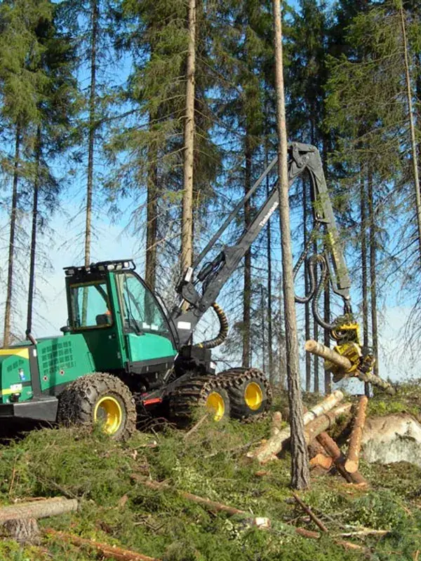 Forestry